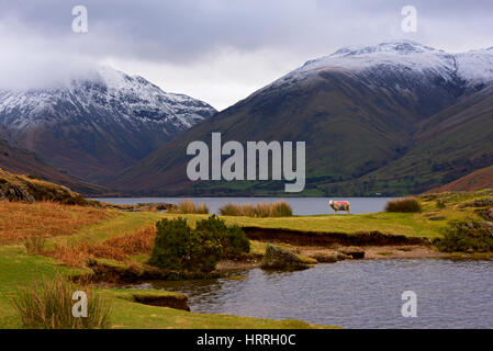 Herdwick Schafe, Wastwater, tiefste, Nationalpark Lake District, Cumbria, England UK Stockfoto