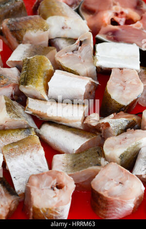 Seehecht Fisch in Scheiben geschnitten und gehackt und bereit, auf die rote Platte gebacken Stockfoto
