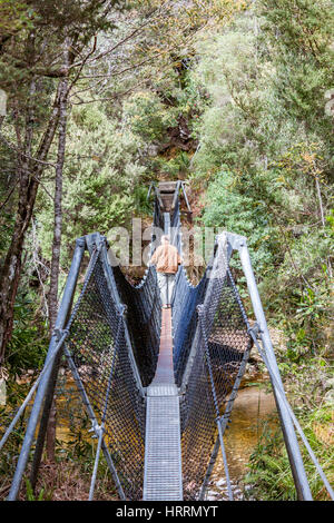 Walkbridge über die historischen Franklin River (Tasmanien) Stockfoto