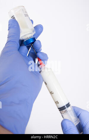 Nahaufnahme des Anästhesisten die behandschuhten Hände zurückziehen Propofol in Spritze mit Nadel Sicherheit vor weißem Hintergrund auf Augenhöhe. Stockfoto
