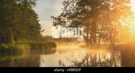 Warmen Frühlingsmorgen. Frühling am Morgen Szene mit hellem Sonnenlicht und Nebel über See. Weiche Sonnenlicht glänzen durch Nebel auf See. Frühlings-Hintergrund in warmen Stockfoto