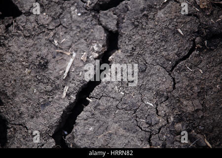 Trockenen Boden Closeup. Graue Textur des trockenen Bodens. Makroaufnahme einer trockenen grauen Boden. Stockfoto