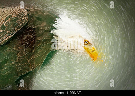 Illustration der Adlerkopf. Stockfoto