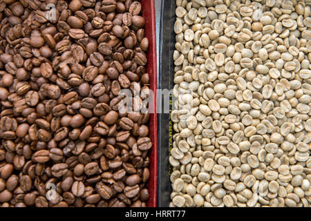 Gerösteten und ungerösteten Bohnen befinden sich an Lagerplätzen nebeneinander an einem Kaffee Verarbeitungsanlage in San Marcos, Costa Rica. Stockfoto