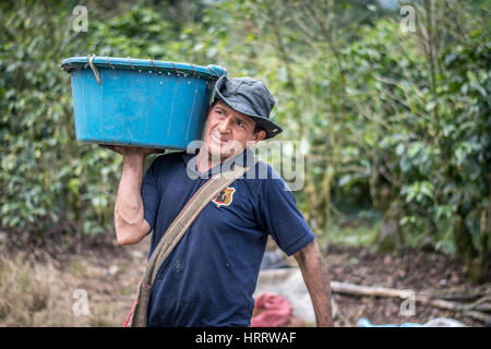 Kaffee-Arbeiter Kaffeekirschen auf einer Kaffeefarm in akquiriert, Costa Rica zu transportieren. Stockfoto