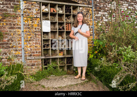 Ein Insekten-Hotel für Bienen und Insekten, die in die Mauer eines Hauses gebaut. Ca. 6 Fuß hoch. Ein Weibchen steht daneben, ein Gefühl der Skala hinzufügen. Stockfoto