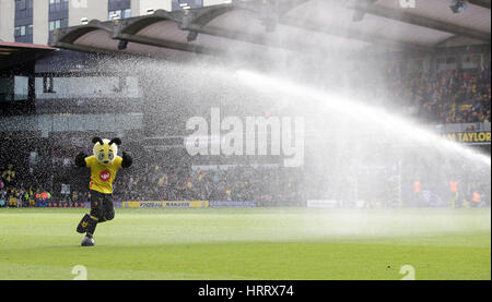 Watford Maskottchen Harry die Hornet bekommt ein Einweichen von der Tonhöhe Sprinkler während der Premier-League-Spiel in Vicarage Road, Watford. Stockfoto