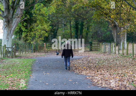 Eine herbstliche Szene einer Frau zu Fuß durch einen Feldweg mit abgefallenen Blättern und Bäumen. Stockfoto