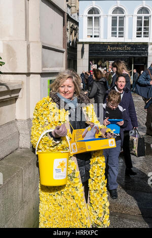 Marie-Curie-Narzisse Spendenaufruf Frau Narzissen sammeln Spenden Straße Truro Cornwall UK Stockfoto