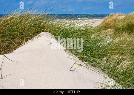 Strand-Landschaft mit Sand und Rasen Meer im Hintergrund Stockfoto
