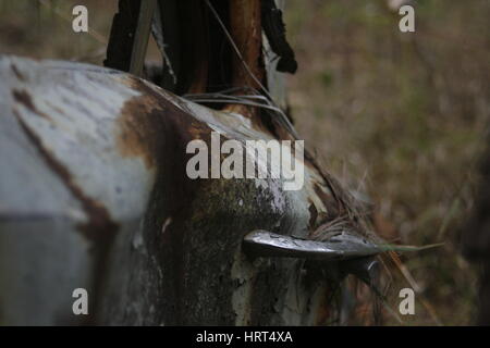 Verrostetes Autowrack Griff Stockfoto