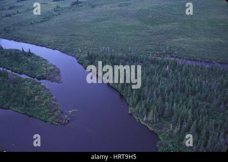 Luftaufnahmen der borealen Wald-Ökosystem (Taiga) Hudsonbai, Churchill, Manitoba, Kanada Â Stockfoto