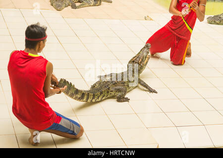 Thailand, Zoo Show der Krokodile bei Crocodile Farm Stockfoto