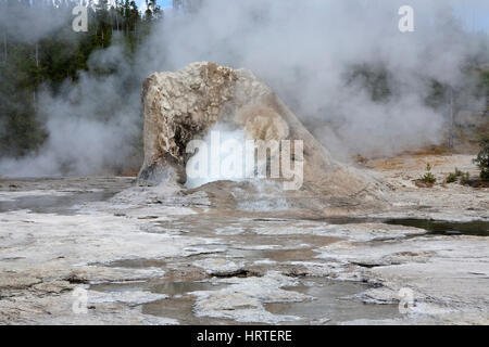 Riesiger Geysir Errupting in Upper Geyser Basin, Yellowstone-Nationalpark, USA Stockfoto