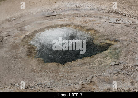 Strand-Frühling in Upper Geyser Basin ausbricht, Yellowstone-Nationalpark, USA Stockfoto