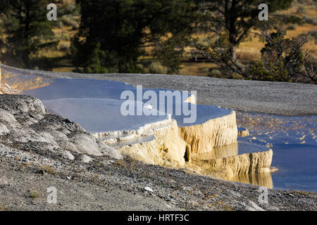 Palette-Frühling in Mammoth Hot Springs Terrassen, Yellowstone National Park, USA Stockfoto