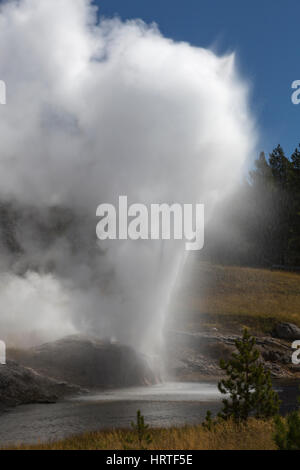 Riverside-Geysir in Upper Geyser Basin ausbrechen in den Firehole River, Yellowstone-Nationalpark, USA Stockfoto