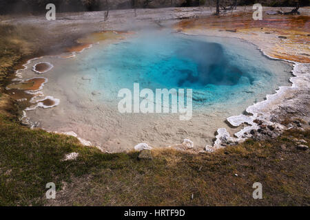 Silex-Frühling in Lower Geyser Basin, Yellowstone National Park, USA Stockfoto