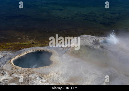 Seeufer-Geysir ausbrechen in West Thumb Geyser Basin, Yellowstone-Nationalpark, USA Stockfoto