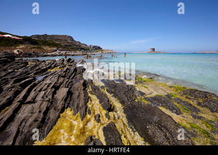 Das Meer in Stintino mit La Pelosa Turm, Sardinien, Italien Stockfoto