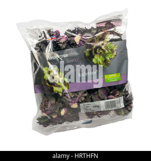 Ein Päckchen Kalettes von Waitrose.  Eine Kreuzung zwischen Grünkohl und Rosenkohl. Stockfoto