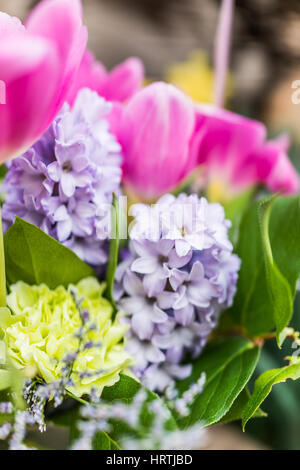 Rosa Tulpe Bouquet mit lila Hyazinthe Himmelsblumen Stockfoto