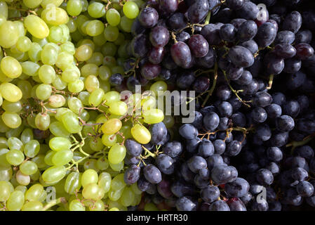 Obst und Gemüse Stall Trauben Stockfoto