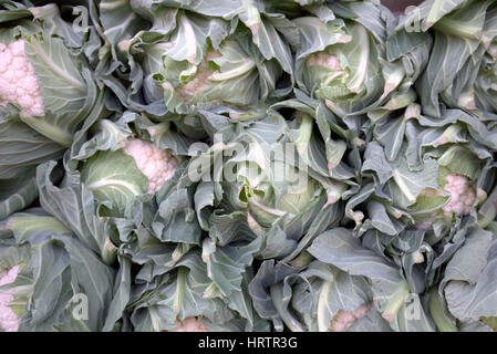Obst und Gemüse Stand Blumenkohl Stockfoto