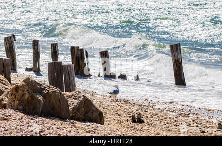 Ozean roling in auf einem felsigen Strand mit bleibt der Pfähle aus dem Sand klemmt Stockfoto