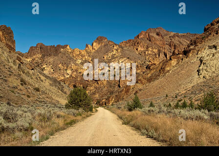 Feldweg, vulkanischen Rhyolith Felsformationen in Leslie Gulch nahe Owyhee See, Mahagoni Berg Caldera, hohe Wüste Region, Oregon, USA Stockfoto