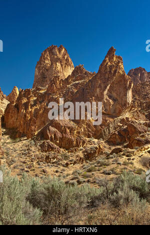 Vulkanischen Rhyolith Felsformationen in Leslie Gulch nahe Owyhee See, Mahagoni Berg Caldera, hohe Wüste Region, Oregon, USA Stockfoto