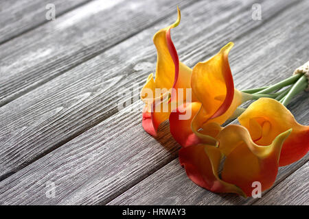 orange gelbe Calla Lilien auf grauem Hintergrund aus Holz Stockfoto