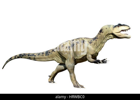 Tyrannosaurus Rex isoliert auf weißem Hintergrund Stockfoto