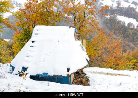 Zuhause in den Bergen, für Werkzeugablage. Herbstliche Bäume mit bunten Blättern. Hang mit Schnee bedeckt. Stockfoto