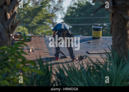 Arbeiter Reparatur Dach Stockfoto