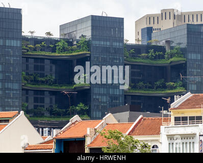 Grüne Terrassen an der Fassade eines modernen Gebäudes in der Stadt. Balkone mit Garten. Stockfoto