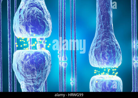 Synaptische Übertragung, menschlichen Nervensystem, 3D-Rendering Stockfoto