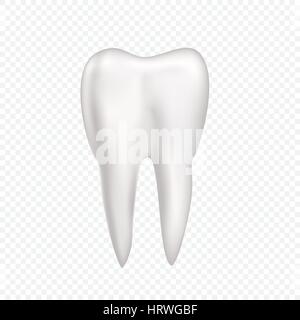 Zahn auf transparenten Hintergrund Stock Vektor