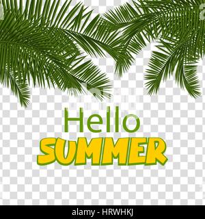 Hallo Sommer grünen Palmwedel transparent Stock Vektor