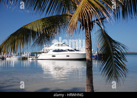 Bewohner ein Spaziergang vom Hafen in Punta Gorda, Fl Stockfoto