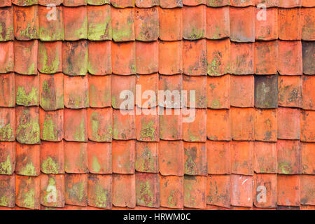 Vintage Red roof Hintergrundtextur Foto Fliesen, frontal Stockfoto