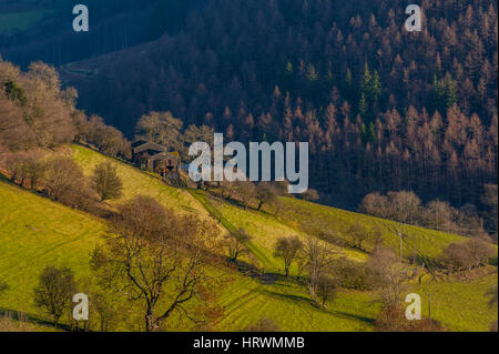 Felder und Wälder in der Umgebung von Llangollen und das Hufeisen übergeben. Stockfoto