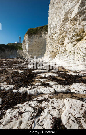 Flamborough Lighthouse gesehen auf der Spitze weißen Kreidefelsen an der Selwicks Bay, North Yorkshire, England. Stockfoto