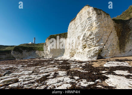 Flamborough Lighthouse gesehen auf der Spitze weißen Kreidefelsen an der Selwicks Bay, North Yorkshire, England. Stockfoto