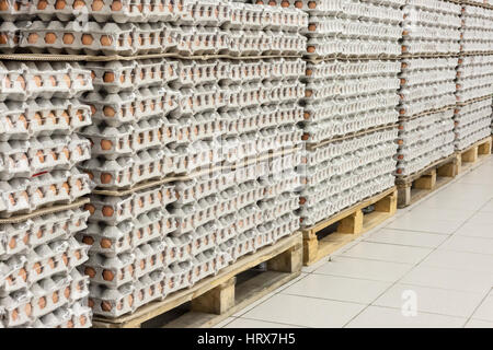 Packungen mit Eiern im Shop Hoheitsgebiet vor Ostern Stockfoto
