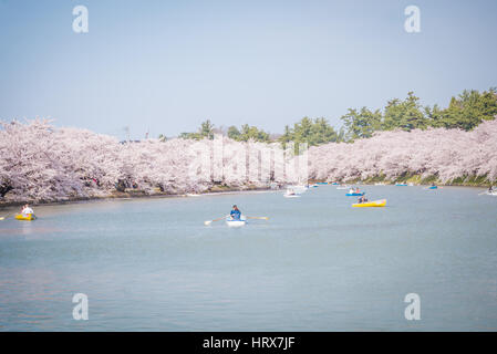 Aomori, Japan - 28. April 2014: Menschen verbinden das Boot im Teich des Hanami Festival in Hirosaki park Stockfoto