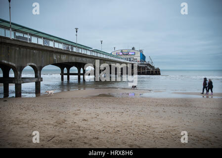 Menschen gehen mit zwei Hunden an einem Sandstrand und unter Bournemouth Pier an einem Wintertag in Dorset, Großbritannien. Stockfoto