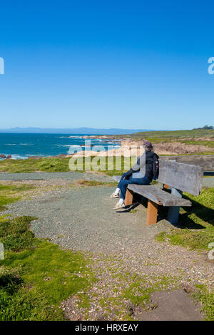 Küsten Blick von Bluff Trail Montana De Oro State park zentralen Kalifornien USA Stockfoto