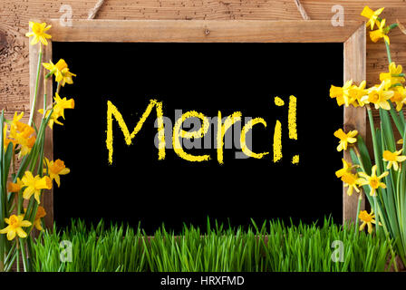 Tafel mit französischen Text Mittel Merci danke. Frühling Blumen Nacissus oder Narzisse mit Rasen. Rustikal im Alter von hölzernen Hintergrund. Stockfoto