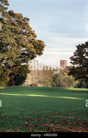 Einsame amn auf der Werkbank im Std albans Park england Sitzen Stockfoto